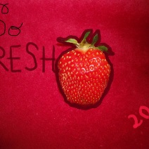 strawberry16